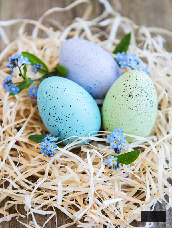 DIY Colored Speckled Eggs