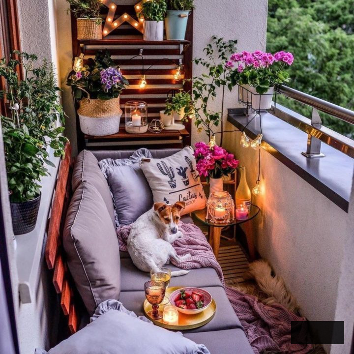 a dog resting on a small sofa in a small balcony