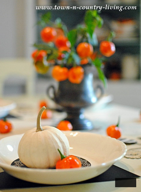 Halloween Table Setting with Habanero Peppers and Baby Boo Pumpkins
