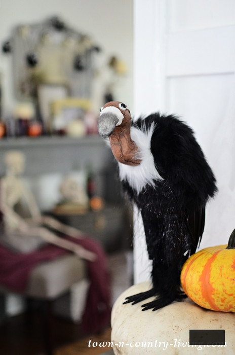 Halloween Vulture