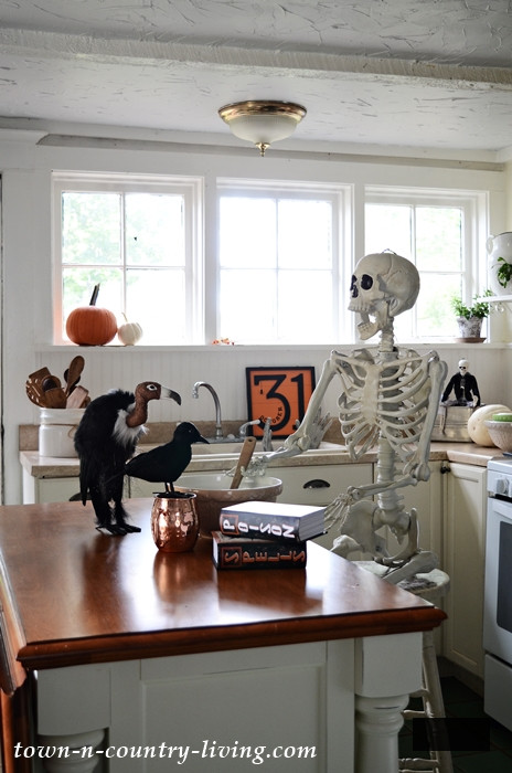 Halloween Skeleton Preparing Poison in the Kitchen