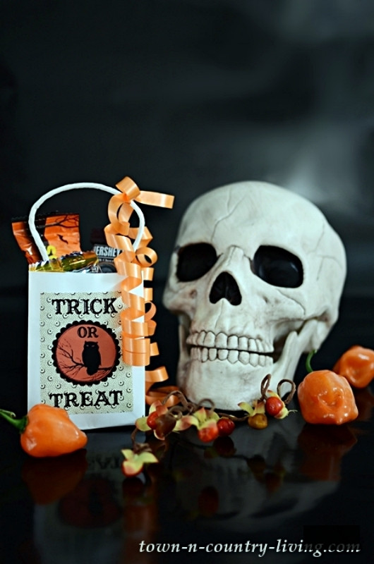 Vintage Halloween Treat Bags - How To Make