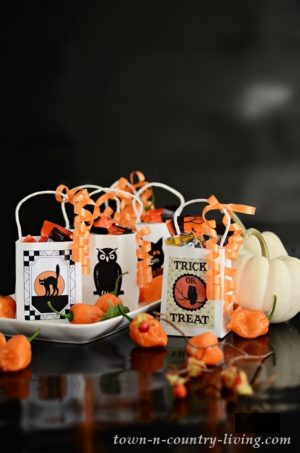 Fun Trick or Treat Bags to Craft with Free Printable