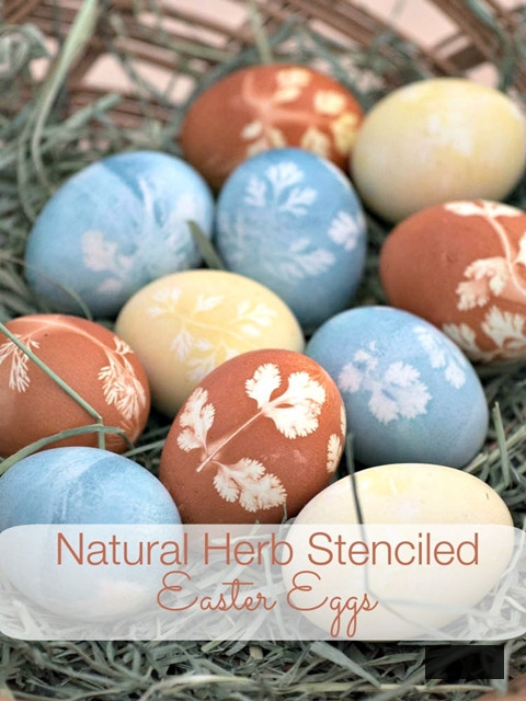 Stenciled Herb Dyed Eggs