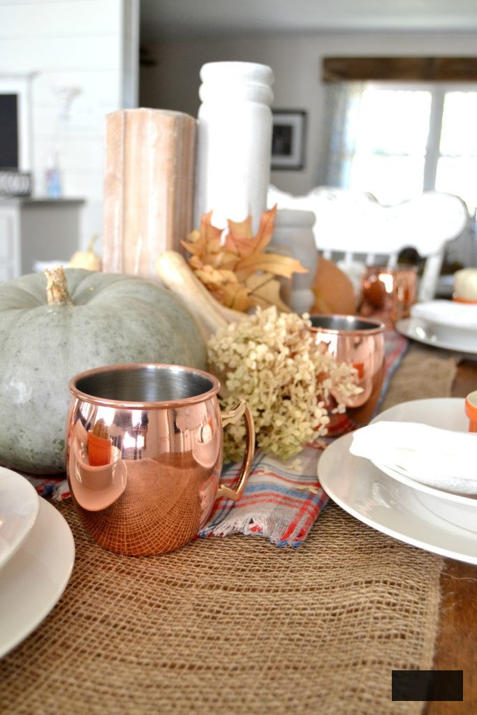 The autumn season is abundant with get-togethers for family and friends, and this simple autumn tablescape was achieved with a burlap table runner, some plaid fabric, and natural elements. Click over to get the details on how to set this table in your home.