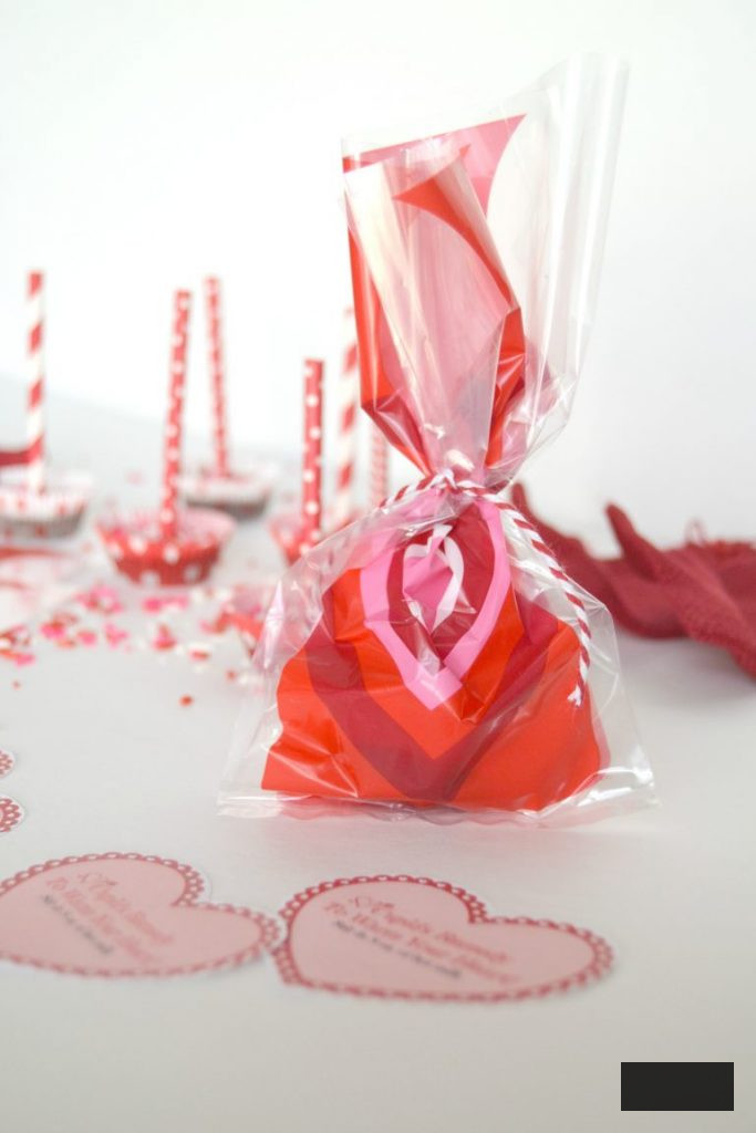 If you are searching for a fantastic homemade valentines concept, this is it. Click over to discover the recipe for these delightful, homemade chocolate valentines that will bring joy to your valentine.