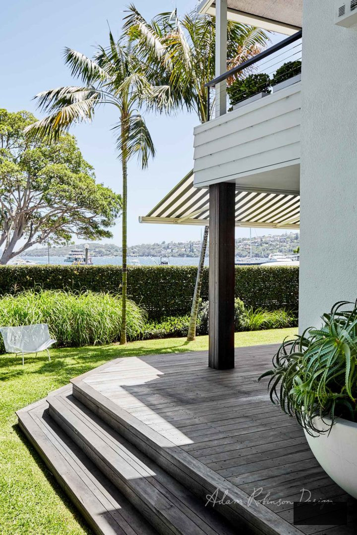 Boxwood plants for backyard privacy