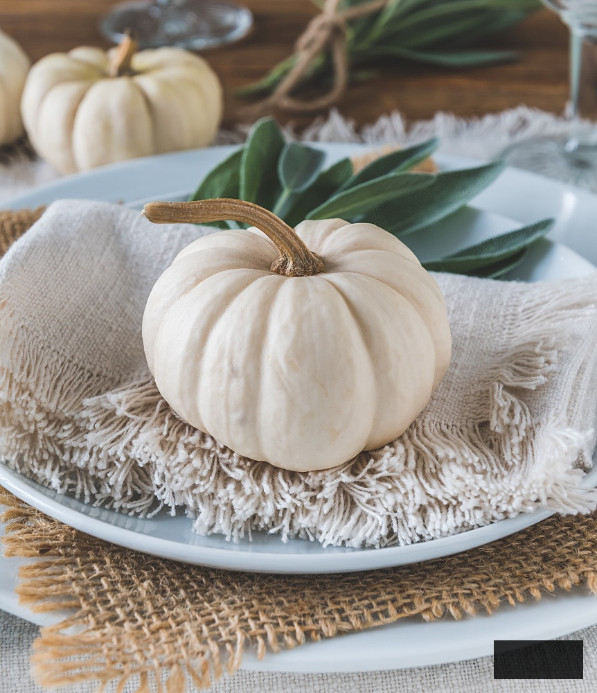 Baby boo pumpkin resting on a fringed napkin