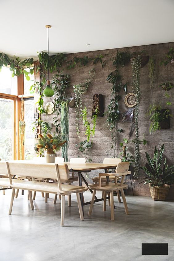 modern bohemian dining room with houseplants