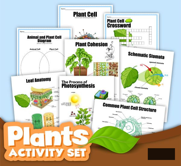 preview of a Plants Activity set printable pack all about photosynthesis and plant cells
