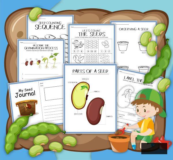 seed journal and activities printables showing the pages from Rainy Day Mum Shop