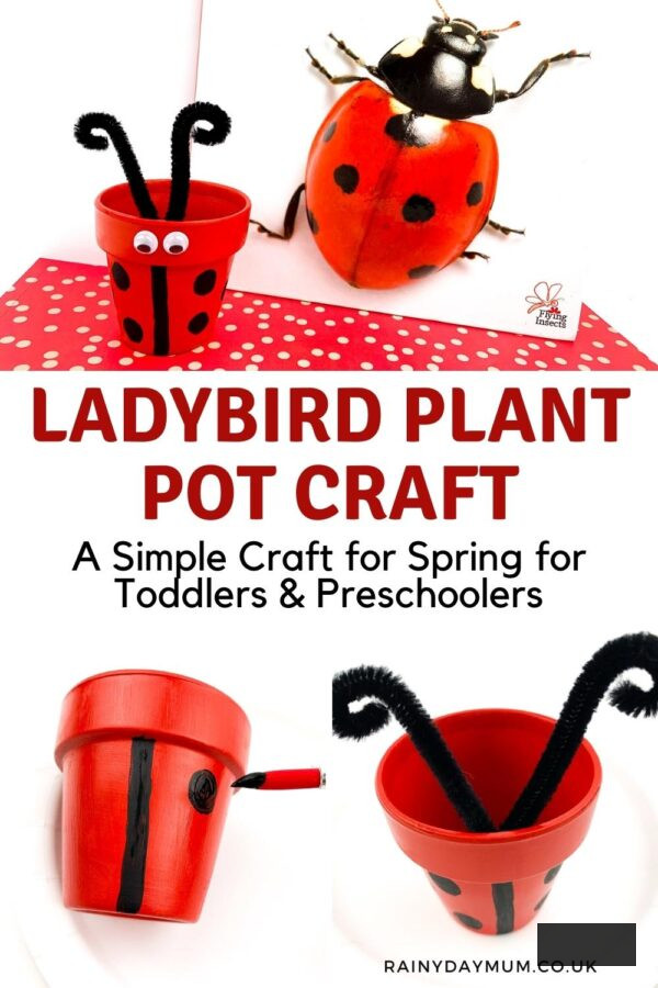 Pinterest image of a ladybird plant pot craft for spring to create with toddlers and preschoolers. Images in the collage illustrate the finished pot alongside a ladybug flying insects book and below 2 of the stages of crafting the pot