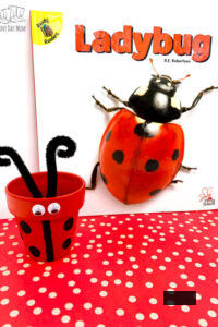 ladybug clay pot in front of the book Ladybug Flying Insects that inspired the kids craft