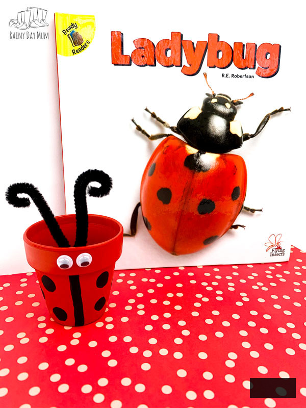 ladybug clay pot in front of the book Ladybug Flying Insects that inspired the kids craft