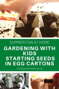 gardening with kids starting seeds in egg cartons