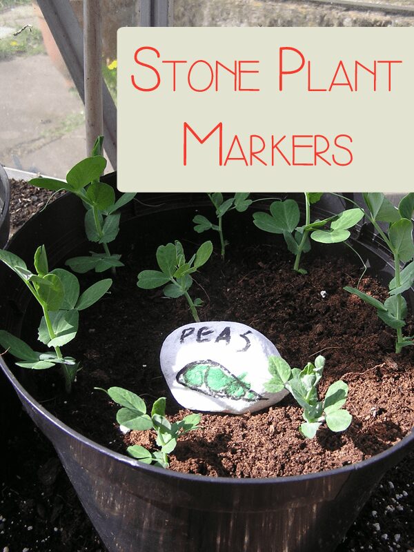Stone Plant Markers for kids to create