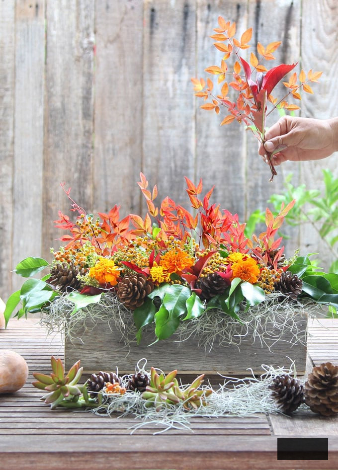 Create DIY Thanksgiving table arrangements with personalized, elegant designs. Discover ideas and tips to craft the perfect festive ambiance for your feast!
