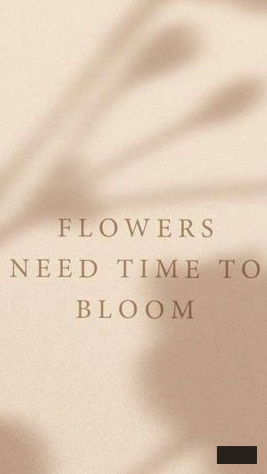soft simple brown aesthetic wallpaper quote