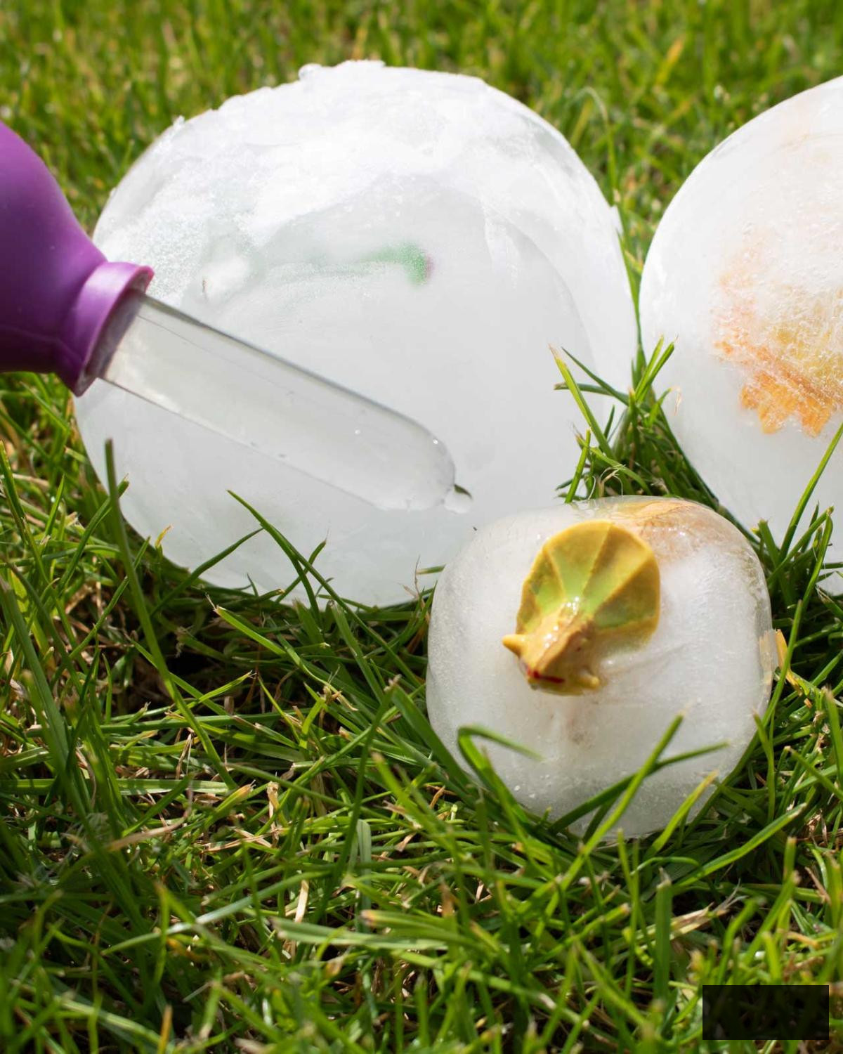 Excavating a small triceratops from a frozen egg.