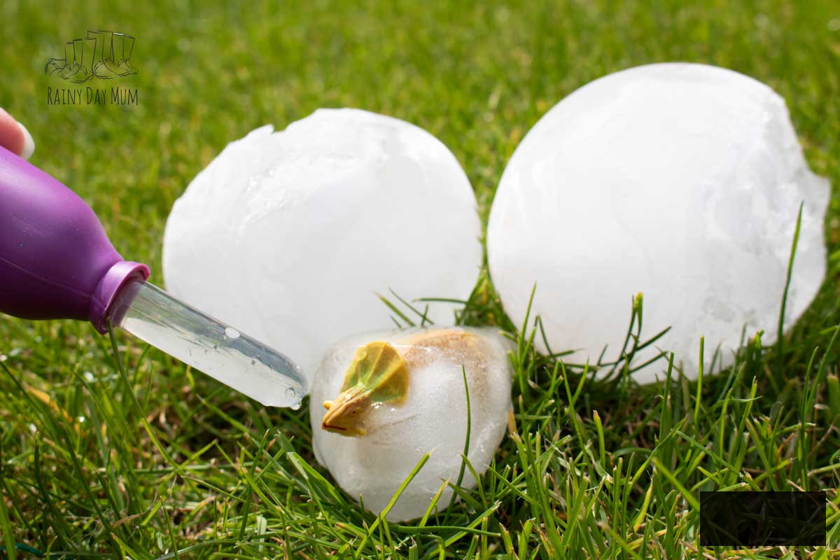 Utilizing a dropper with warm water to gradually reveal a toy dinosaur encased in a frozen egg shape. An engaging science and play activity for children.