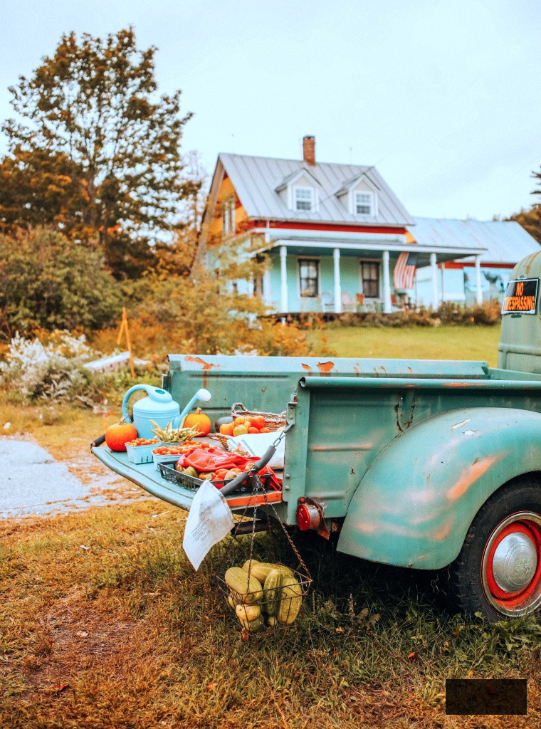 fall scene with vintage truck