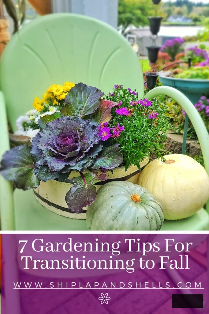7 gardening suggestions for transitioning to fall