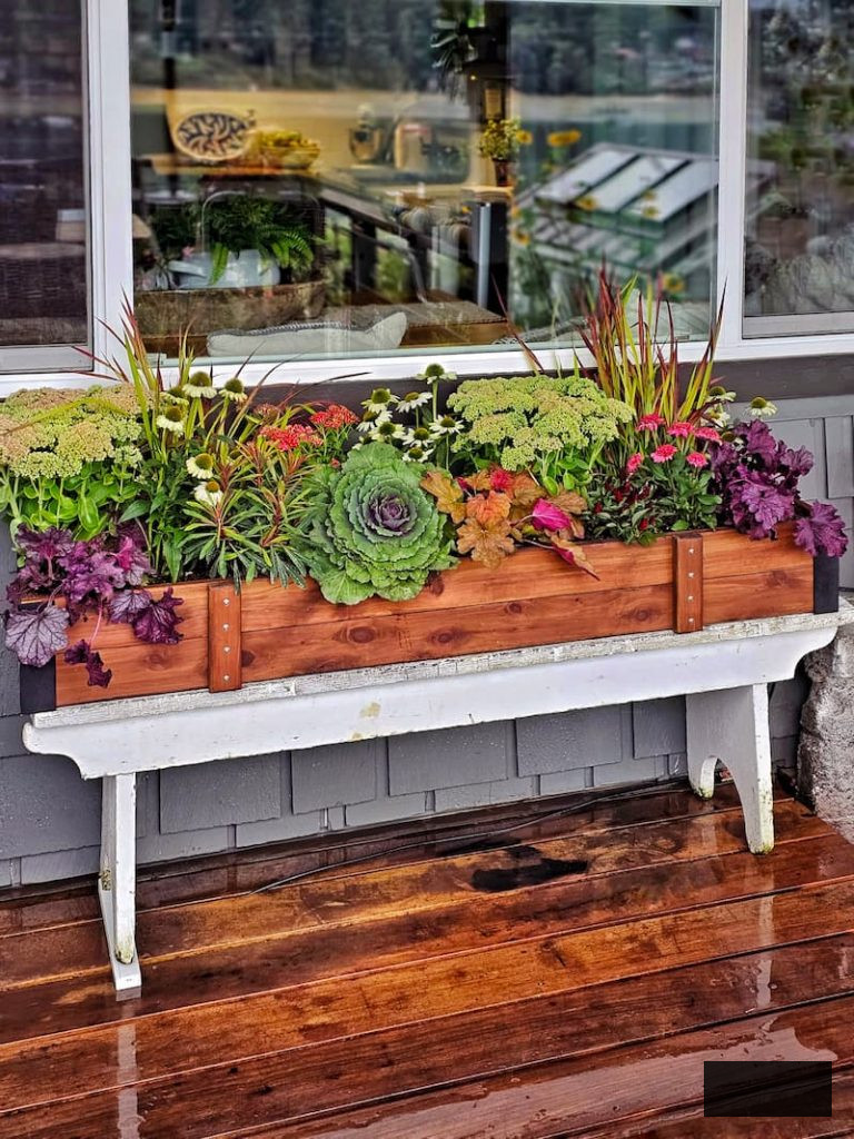 autumn flowers and plants in window box planter