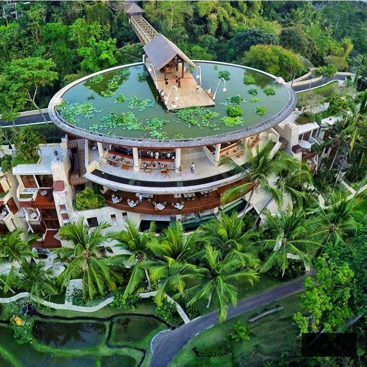 Four Seasons Resort Bali at Sayan swimming pool