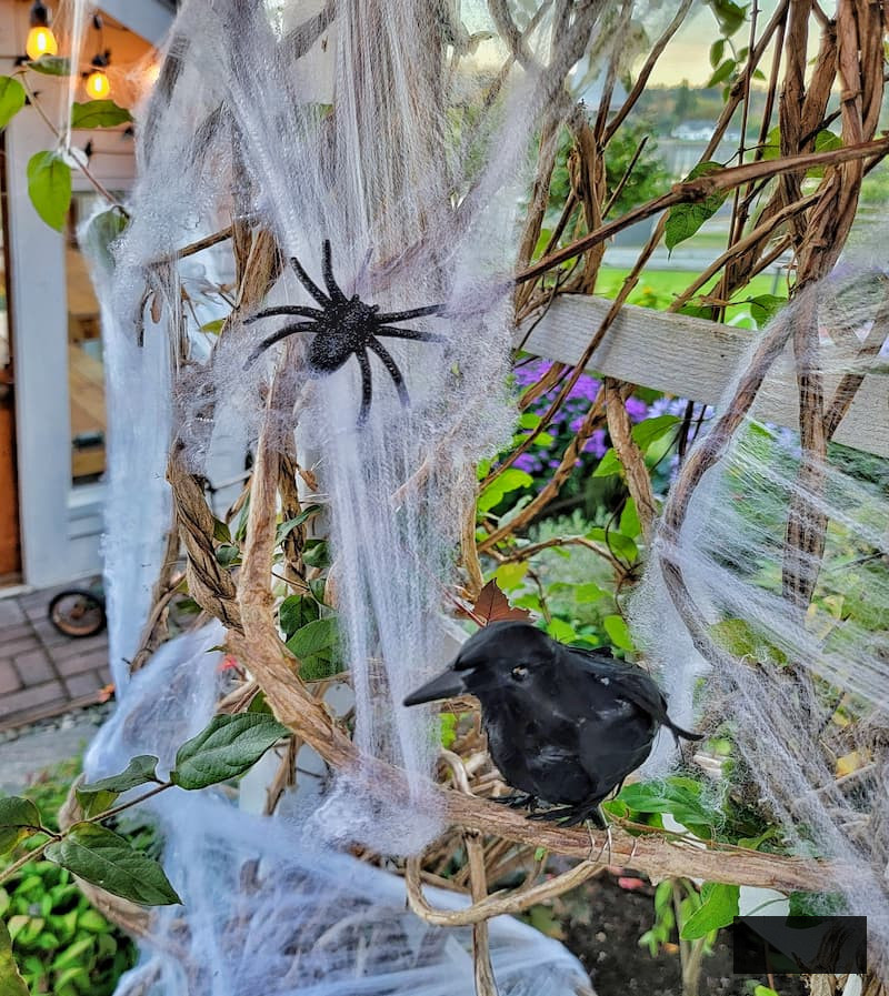 autumn porch decoration concepts: spiders, webs, and black crow