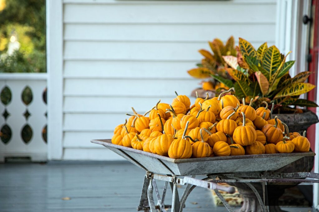 Wheelbarrow Of Little Pumpkins Fall Decor On Porch