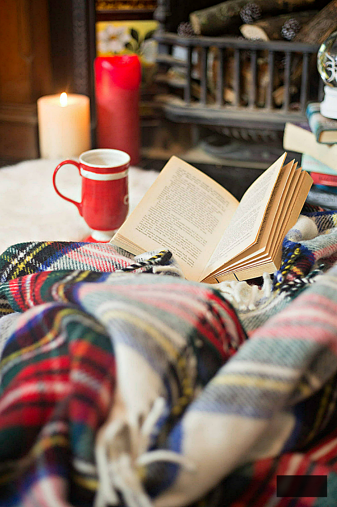 tartan blanket and book