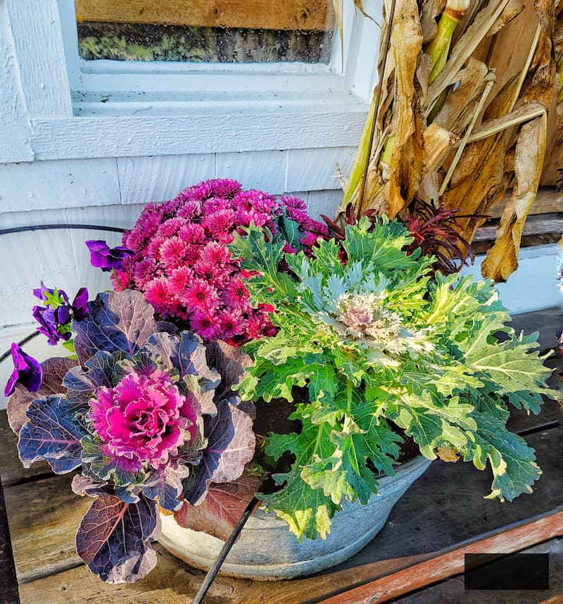 autumn porch decoration ideas: autumn foliage and blooms