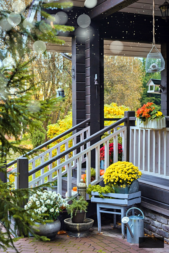 Pumpkins, colorful potted flowers on front door steps of the house, terrace, autumn holidays decoration