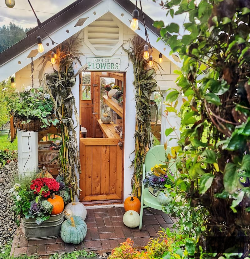 autumn porch decorating ideas: greenhouse porch