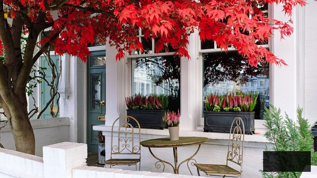 Cozy autumn scene with red maple tree, window box flowers, and vintage table