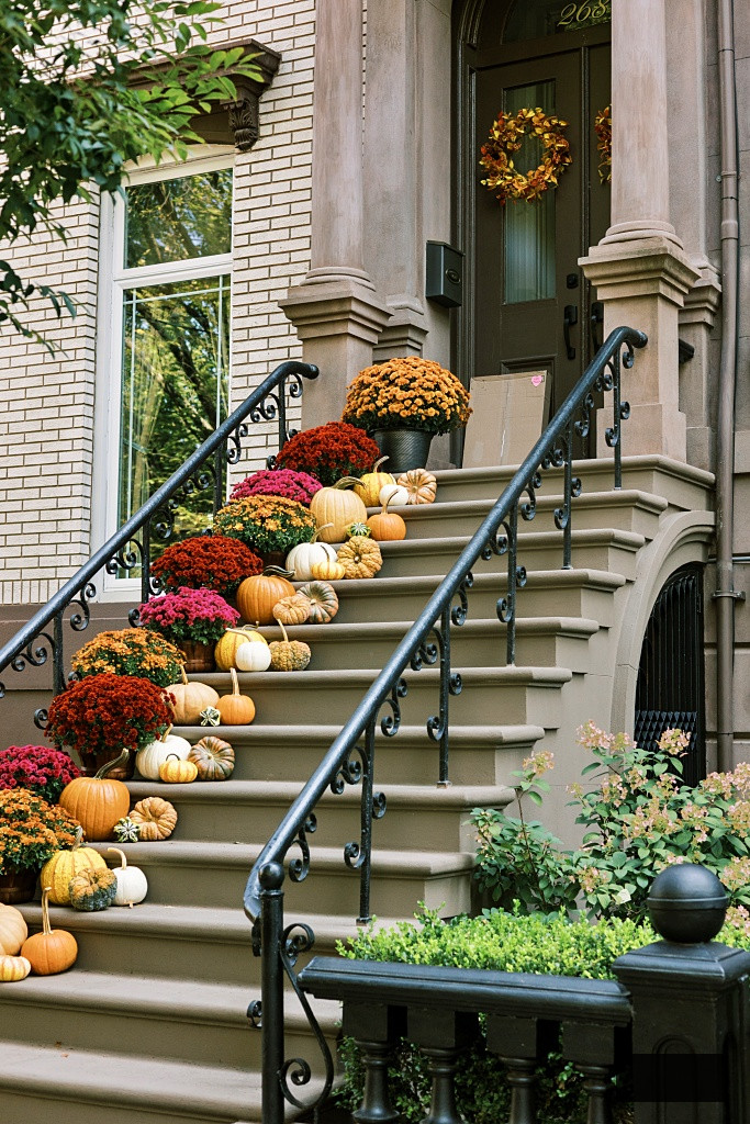 fall curb appeal in the city
