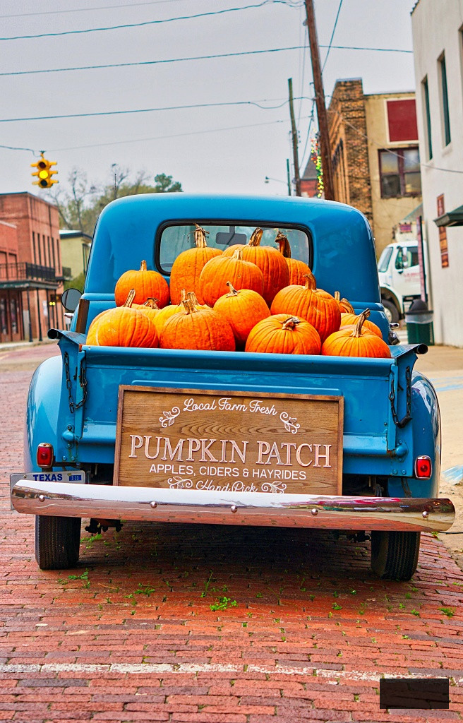 Vintage blue truck filled with pumpkins