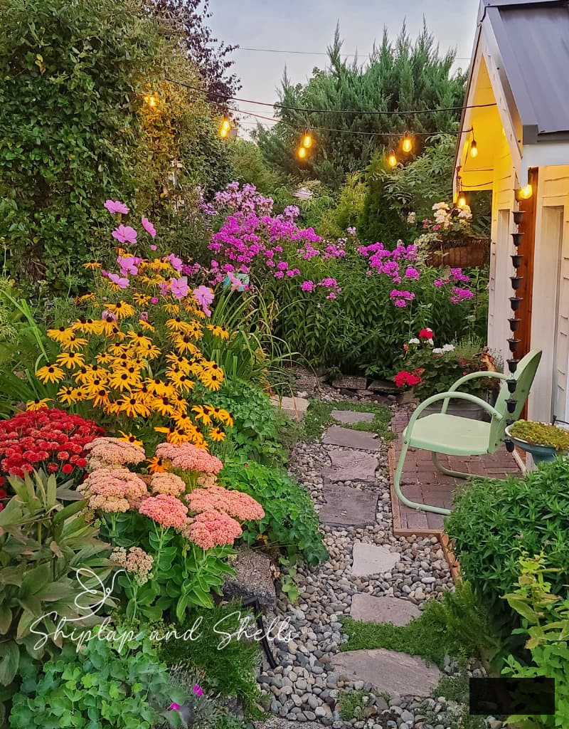 autumn cottage garden with phlox, sedum autumn joy, mums, and black-eyed Susans