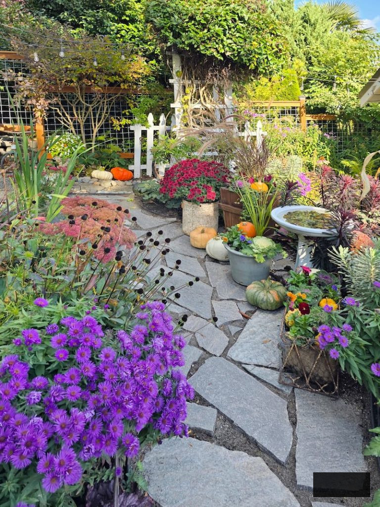 stone patio in the garden adorned with autumn blooms and pumpkins
