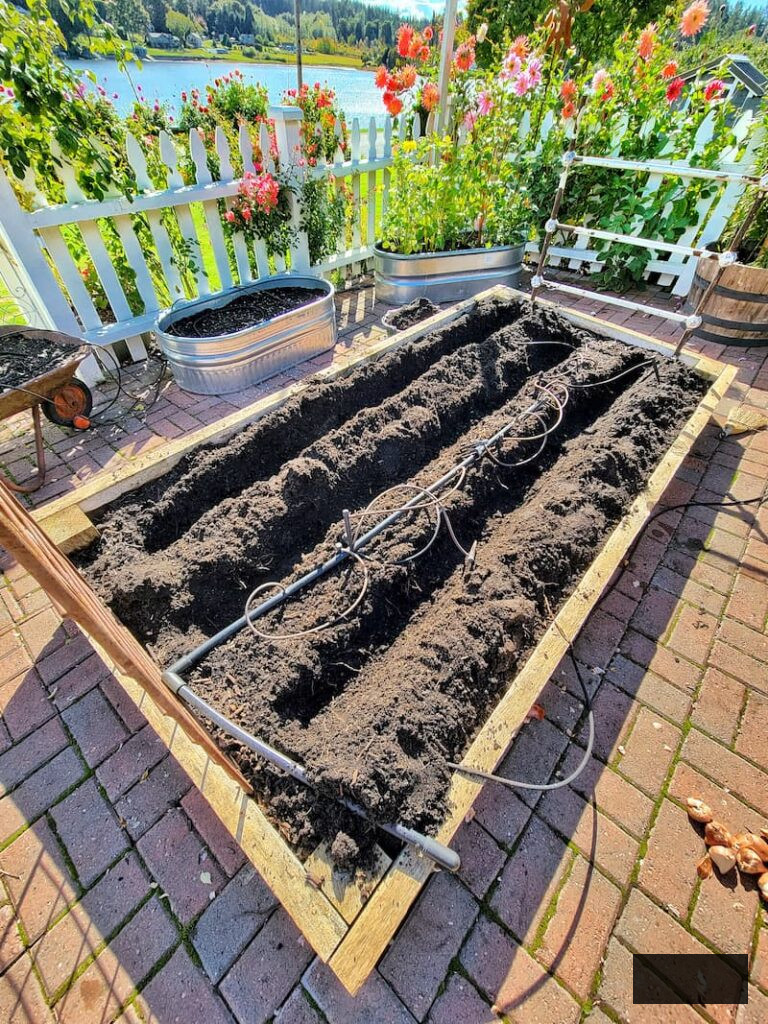 trenches dug in raised beds for spring bulbs