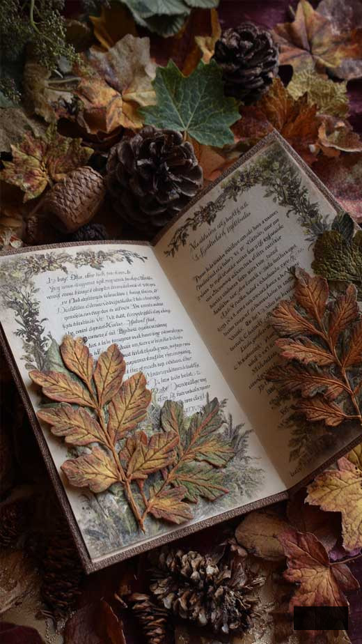 fall aesthetic book wallpaper for iphone