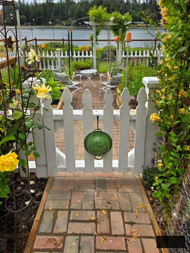 white picket fence gate and green colander