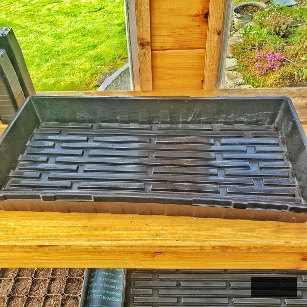 seed starting supplies: drainage tray