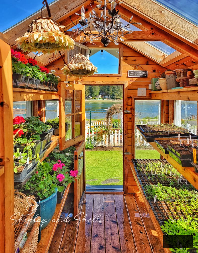 inside greenhouse with seed starting supplies