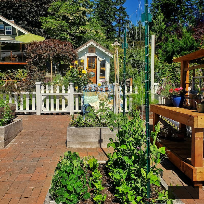 cut flower garden and greenhouse