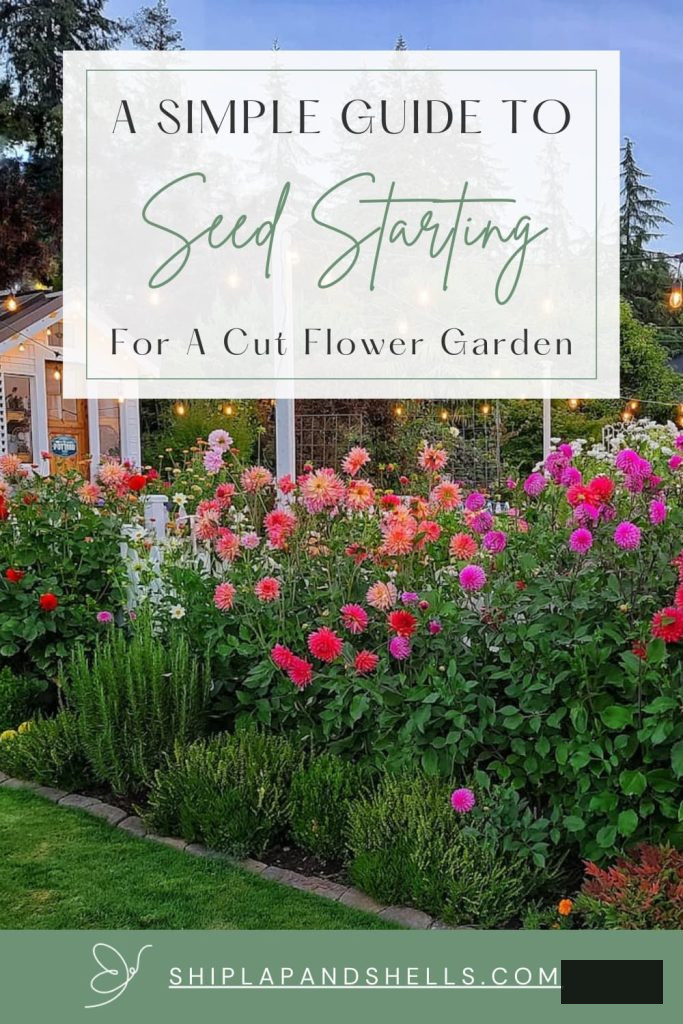 A simple guide to seed starting for a cut flower garden