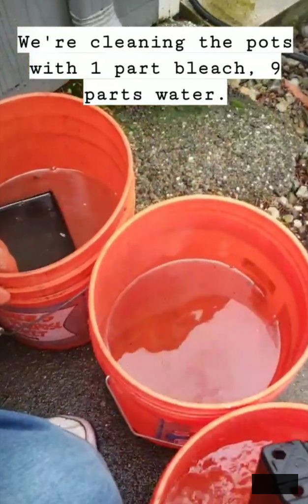 cleaning containers with water and bleach