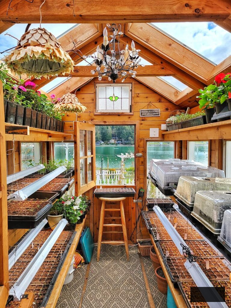 inside the greenhouse with seedlings growing on the shelves