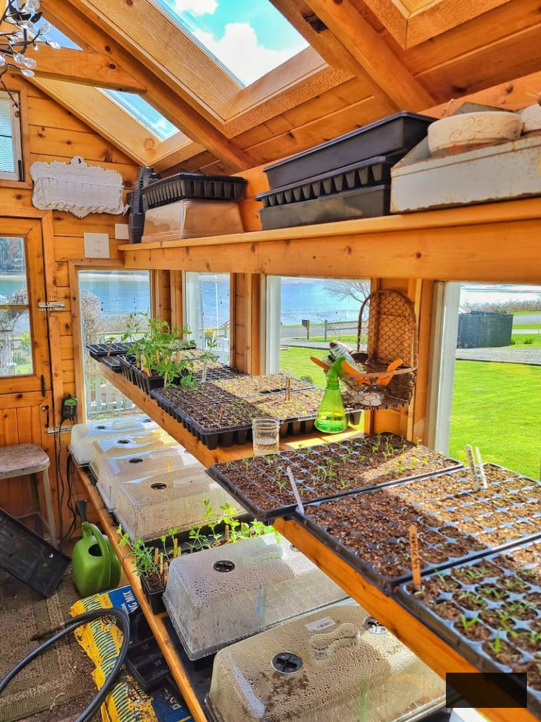 inside the greenhouse with seed starting supplies