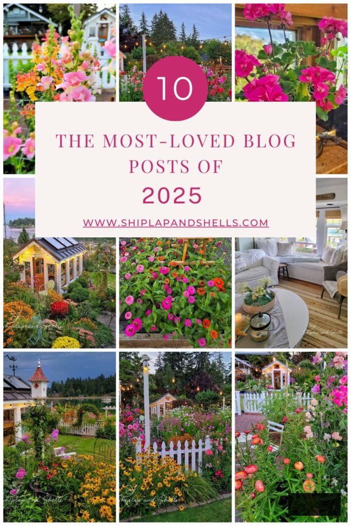 10 of the most cherished blog posts of 2025 graphic